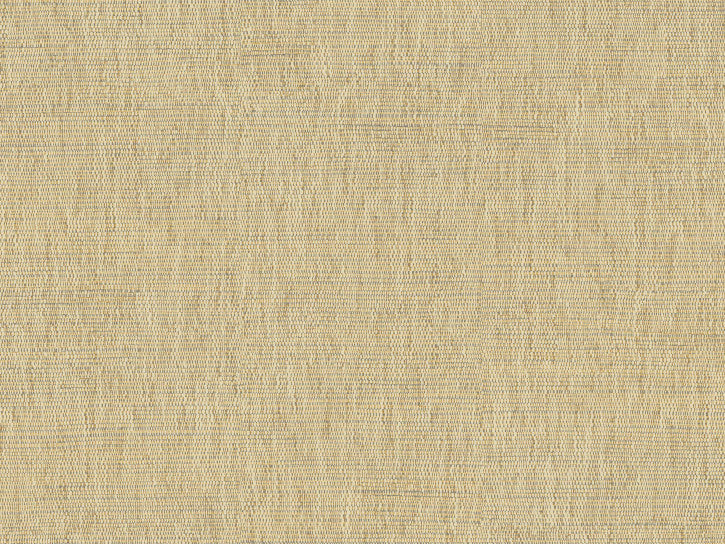 Seagrass