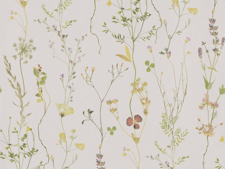 Wildflower