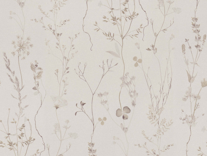 Wildflower