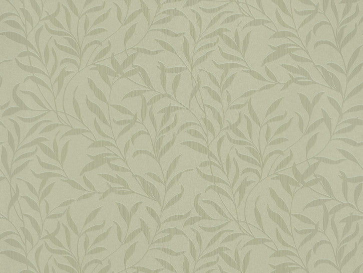 Willow
