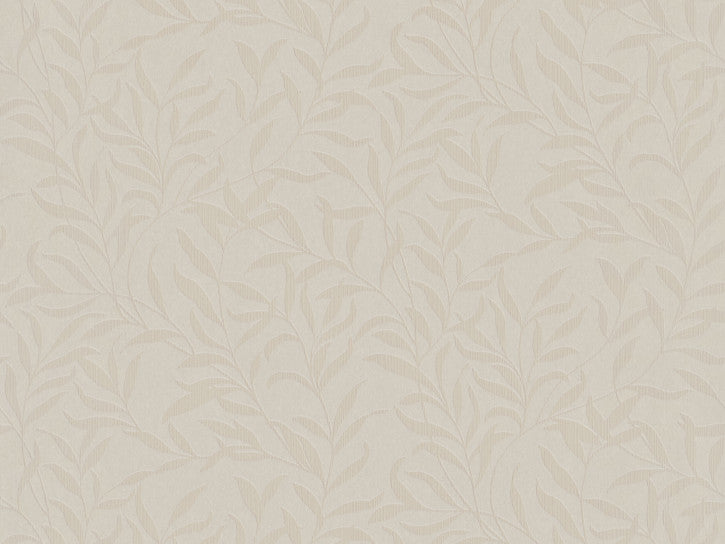 Willow