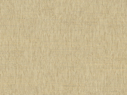 Seagrass